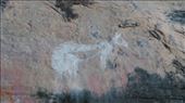 Rock art at Anbangbang showing a hunt: by macedonboy, Views[258]