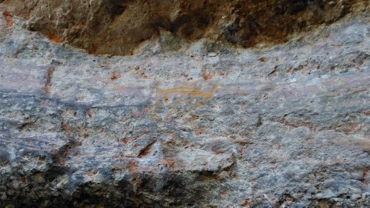 Rock art at Anbangbang showing a dingo