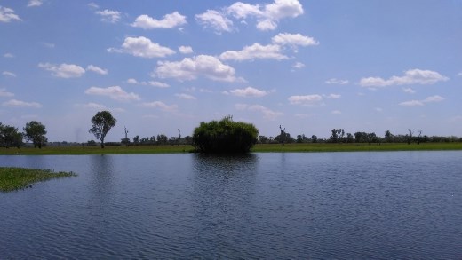 Scene from Yellow River Cruise jetty