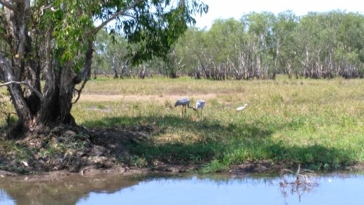 Scene from Yellow River 