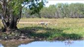 Scene from Yellow River : by macedonboy, Views[208]