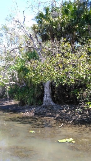 Scene from Yellow River 