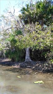 Scene from Yellow River : by macedonboy, Views[252]