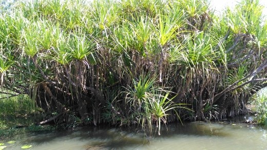 Scene from Yellow River 