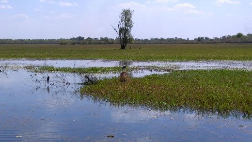 Scene from Yellow River 