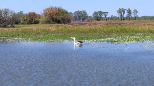 Scene from Yellow River 