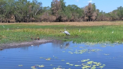 Scene from Yellow River 