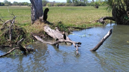 Scene from Yellow River 