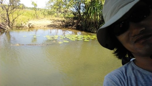 Crocodile running away in fear of my manliness