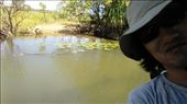 Crocodile running away in fear of my manliness: by macedonboy, Views[256]