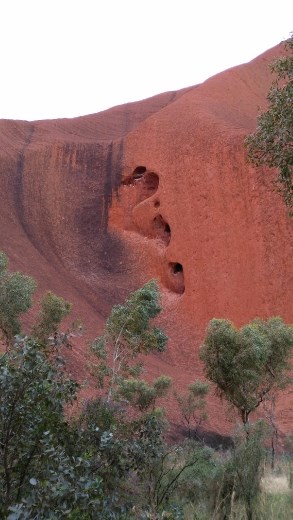 Kuniya in the story of Tjukuritja
