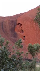 Kuniya in the story of Tjukuritja: by macedonboy, Views[309]