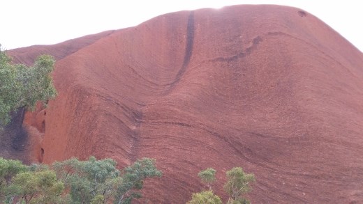 Minyma Kuniya in the story of Tjukuritja. When the python women hears of her nephew.