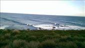 Shores over Phillip Island: by macedonboy, Views[318]