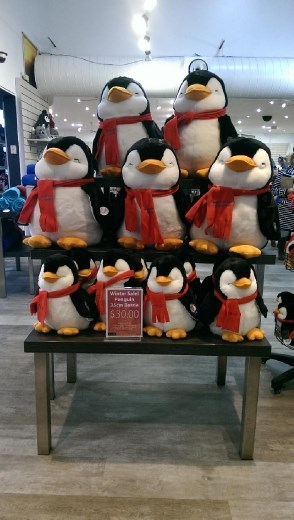 Shop in park reserve