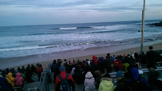 Watching the penguin parade