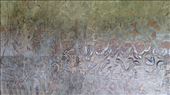 Scenes from the northen wall: by macedonboy, Views[242]