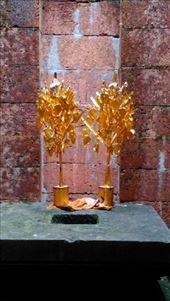 Thommanon Chau Say Tavoda: by macedonboy, Views[128]