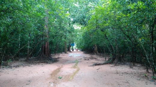 Long walk to Ta Prohm