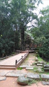 Ta Prohm: by macedonboy, Views[148]