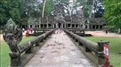 Ta Prohm: by macedonboy, Views[136]