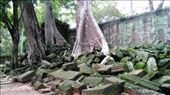 Ta Prohm: by macedonboy, Views[156]