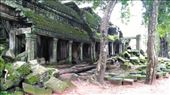 Ta Prohm: by macedonboy, Views[134]