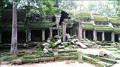 Ta Prohm: by macedonboy, Views[127]