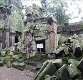 Ta Prohm: by macedonboy, Views[137]