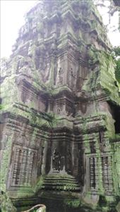 Ta Prohm: by macedonboy, Views[119]