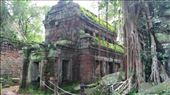 Ta Prohm: by macedonboy, Views[108]