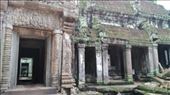Ta Prohm: by macedonboy, Views[137]