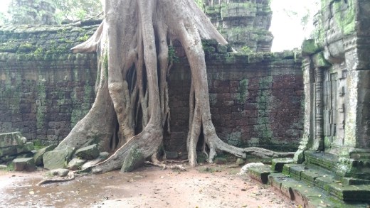 Ta Prohm