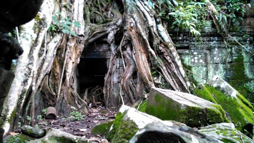 Ta Prohm - Buddha's face