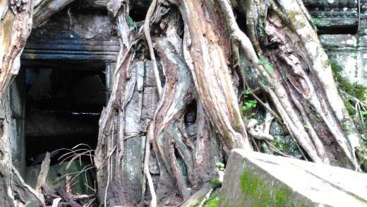 Ta Prohm - Buddha's face