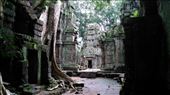 Ta Prohm: by macedonboy, Views[96]