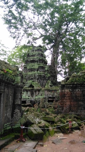 Ta Prohm