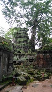 Ta Prohm: by macedonboy, Views[117]