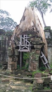 Preah Khan - Doorway crushed by weight of tree: by macedonboy, Views[123]