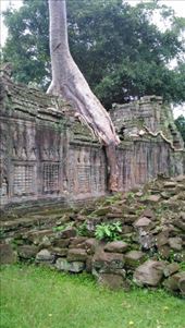 Preah Khan: by macedonboy, Views[106]