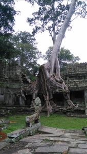 Preah Khan: by macedonboy, Views[106]