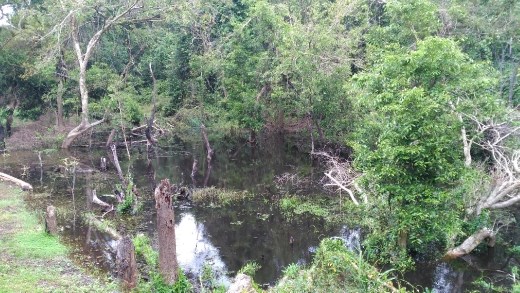 Walk to Prasat Neat Pean