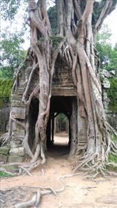 by macedonboy, Views[93]