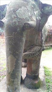 Elephant on first level of East Mebon: by macedonboy, Views[183]