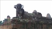 Elephant on first level of East Mebon: by macedonboy, Views[179]