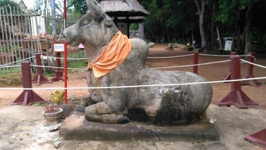 Nandi at Phnom Bakheng