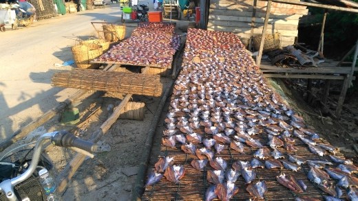 More dried fish