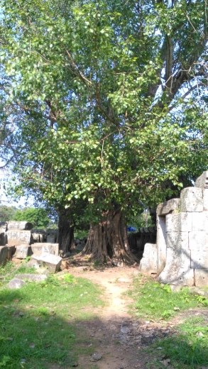 Scene from Wat Ek Phnom Temple