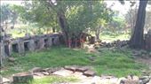 Scene from Wat Ek Phnom Temple: by macedonboy, Views[321]