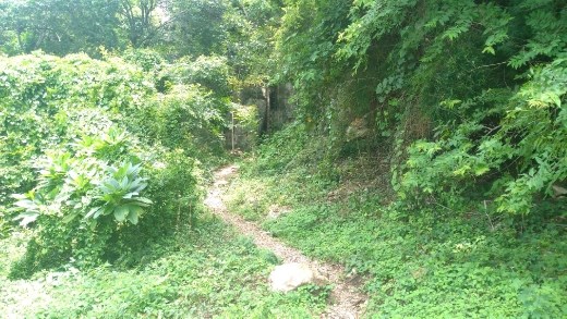 Way to Bet Meas Cave